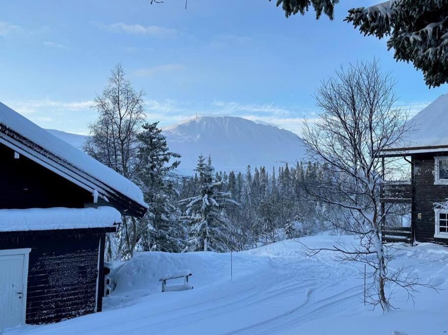 Ski Inn/Out - 4-Room Apartment W/3 Bedroom Gaustablikk Экстерьер фото